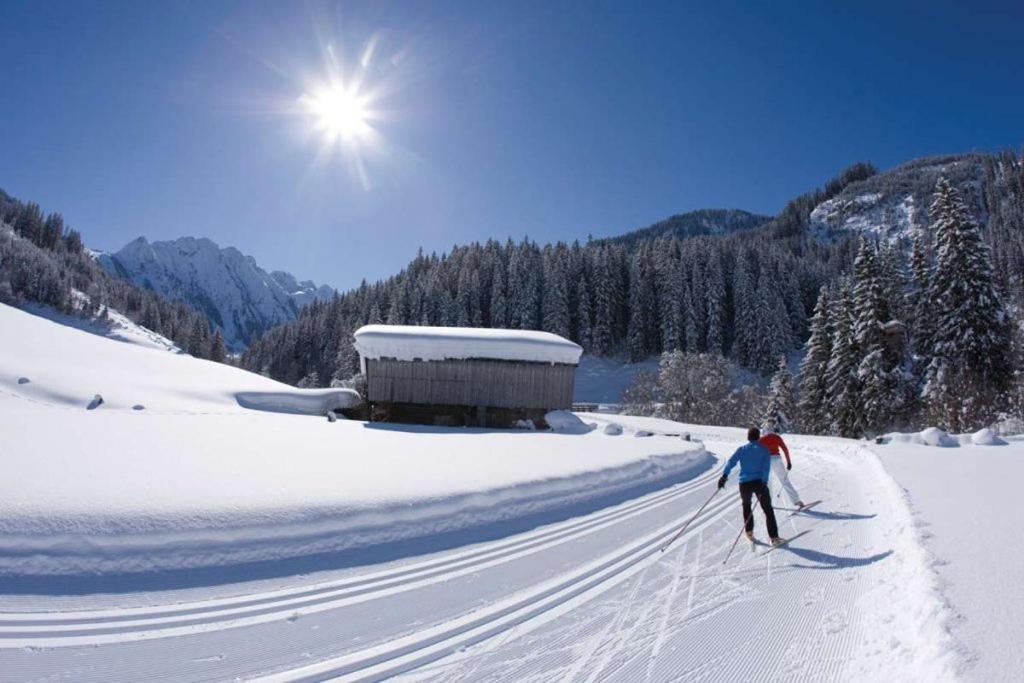 Brixnerhof Im Zillertal Hotel Schlitters Ngoại thất bức ảnh