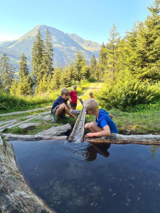 Brixnerhof Im Zillertal Hotel Schlitters Ngoại thất bức ảnh
