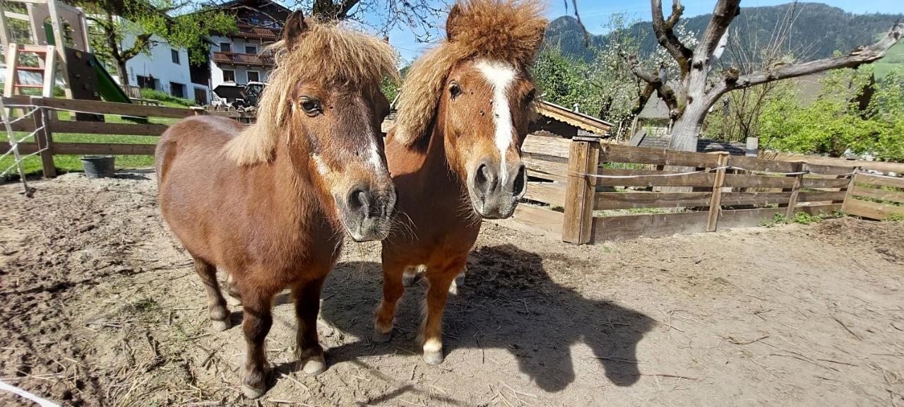 Brixnerhof Im Zillertal Hotel Schlitters Ngoại thất bức ảnh
