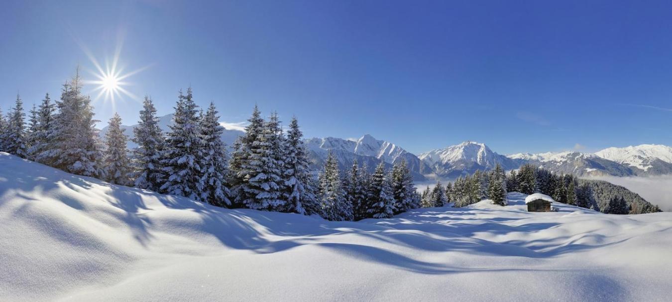 Brixnerhof Im Zillertal Hotel Schlitters Ngoại thất bức ảnh