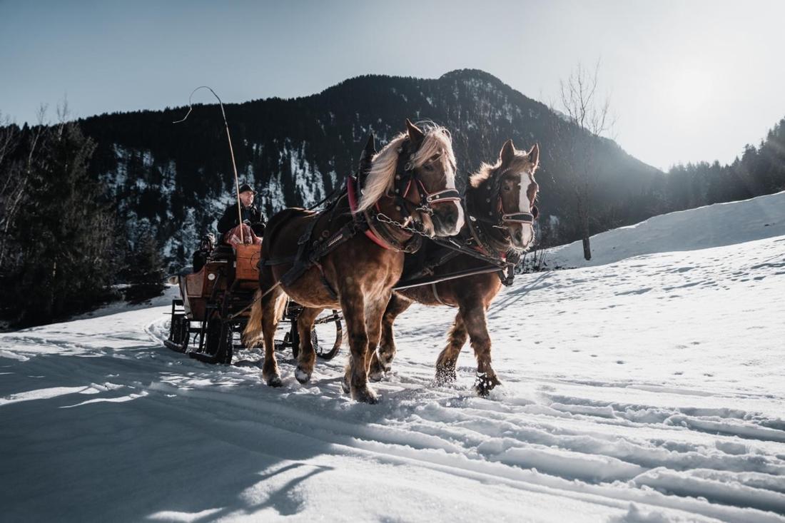 Brixnerhof Im Zillertal Hotel Schlitters Ngoại thất bức ảnh