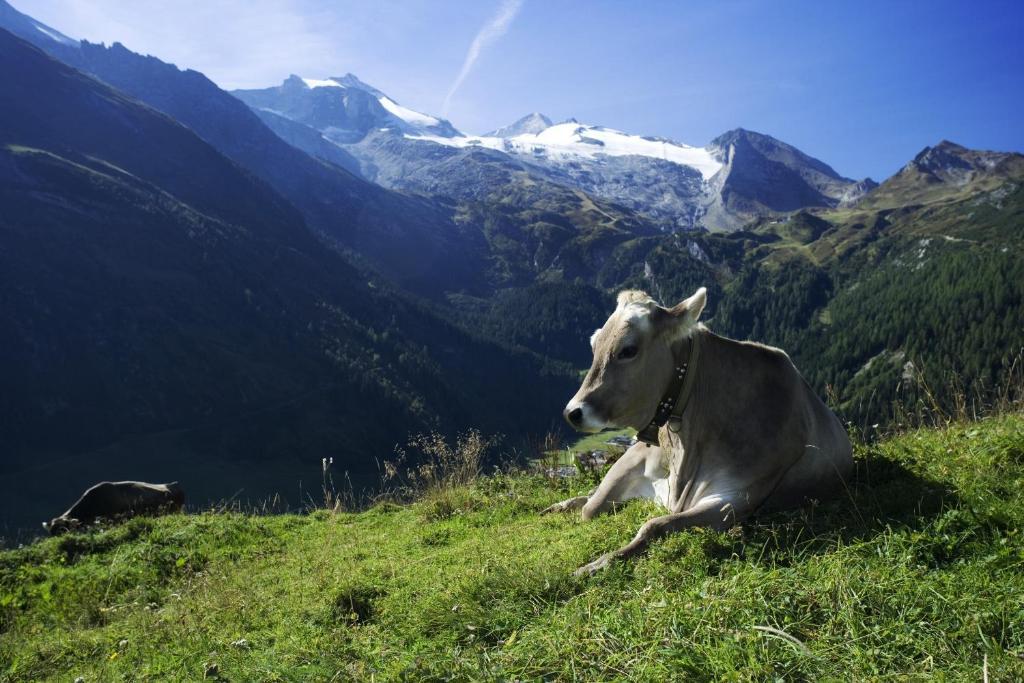 Brixnerhof Im Zillertal Hotel Schlitters Ngoại thất bức ảnh